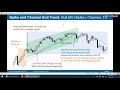 Trading When a Market Is in a Bull Channel | Al Brooks