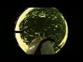 Sigma 8mm circular fish eye [Video example]