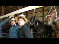 Yoder's horse and buggy auction