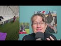 Training My New Puppy, What He Knows So Far: Susan Garrett's Plan And Puppy Schedule #243 #podcast