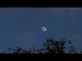 Seeing two moons in the Sky 15-06-2024