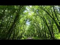 Saddle River Park, Strolling Down The Path