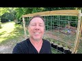 Cucumber Trellis For My Garden Made With A Tractor Supply Cattle Panel