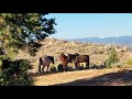 Rachel's Ranch Nevada 7/29/20