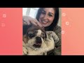 Lazy Pug Sleeps So Tight Bed Bugs Have No Chance | Cuddle Buddies