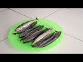 Cara membuat ikan asin || dari jenis ikan Tongkol (Fermentasi Ikan)