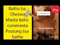 MAOTO A BATHO A CHESWA