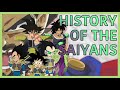 The History & Origins of the Saiyan Race | Dragon Ball Villain Series