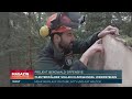 KLIMAWANDEL: Die Bergwaldoffensive zur Rettung der deutschen Natur - wie neue Mischwälder entstehen