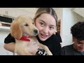 Living with 2 PUPPIES for 24 hours | Parenting 101