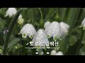 광고없는 신나는 트로트 메들리 2시간 🍂 하루 종일 들어도 좋은 노래 40곡모음🍂트로트 7080 노래모음🍂넘치는 메들리 모음 트로트 메들리 피곤할 때들을 수 있습