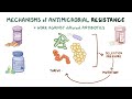Mechanisms of antibiotic resistance