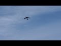 B-52 StratoFortress Riat 2023  take off & Flypast