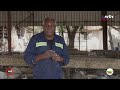 David Guy Mutasa, Rabbit Farmer | Breadbasket