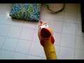 Screaming Chicken