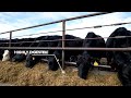 Virtual Tour: HydroGreen’s Automated Vertical Pastures