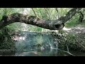 Каскадные водопады, Гейзер (h-10м), Каменные грибы. Долина р. Алака (Сотера). Южная Демерджи.