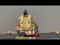 Cargo ship entering Ajman Port | 4 K
