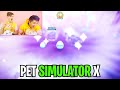 BEST PET SIMULATOR X VIDEOS EVER! (FROM POOR NOOB TO ROBLOX MASTER!) *HUGE PETS, TALKING BEN & MORE*