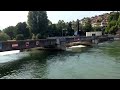 The shark free river Limmat