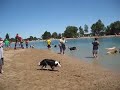 Bailey Doggy Dip 006