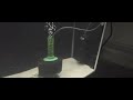 Aquarium Co-Op Heater Clicking - Video 2