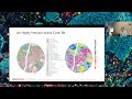 Correlation of Multiplex Immunofluorescence with RNA Sequencing | Zhongmin Xiang, PhD | BostonGene