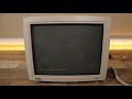 DEC VT320: The Classic 1987 Library Computer Terminal