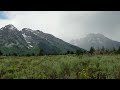 Grand Teton National Park - Lupine Meadows