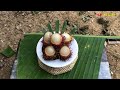 Rambutan | 람부탄 | Harvest Rambutan