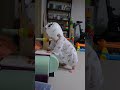 뚝딱이 탄생 261일차 #둥이 일상 #8개월 발달 #혼자서기