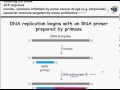 DNA Replication, Recombination, and Repair