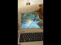 Cat watching bird video