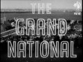 National Interest -  Grand National & Lincoln Horses  (1952)