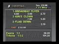 1996 Sword Dancer Invitational Handicap