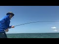 Crazy Tarpon on Fly