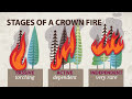 Introduction to Fire Behavior