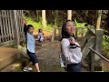 幸せのたまを探す！！神社巡り