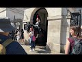 Intense Confrontation: Woman Yells at Tourist for Patting Horse.