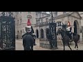 King's guard shouts 3 times at two tourists holding the reins and not listening #thekingsguard
