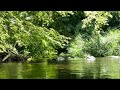 Quiet bird and watersounds #自然音#流水音#watersounds#riversounds#birdsounds