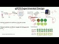 qPCR experiment design | Controls in qPCR | @BiologyLectures