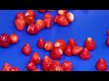 83 Satisfying Videos ►Modern Technological Food Processors Operate At Crazy Speeds Level 150