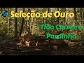 Seleção de Ouro - Tião Carreiro e Pardinho