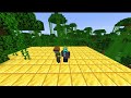 Forcing my subscribers to do a hide and seek! In Minecraft