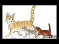 Top 15 Best Parent/Kit Relationships In Warrior Cats