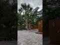 Backyard of rental house on Austin Street in Sarasota, Florida January 12th 2024