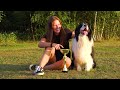 Music for Dogs🐶Reduce anxiety Stress for pets🐶💖Relax my dog🎵Healingmate