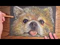 Realistic Dog Drawing Using Pastels