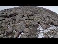 Ben Nevis via the CMD arête